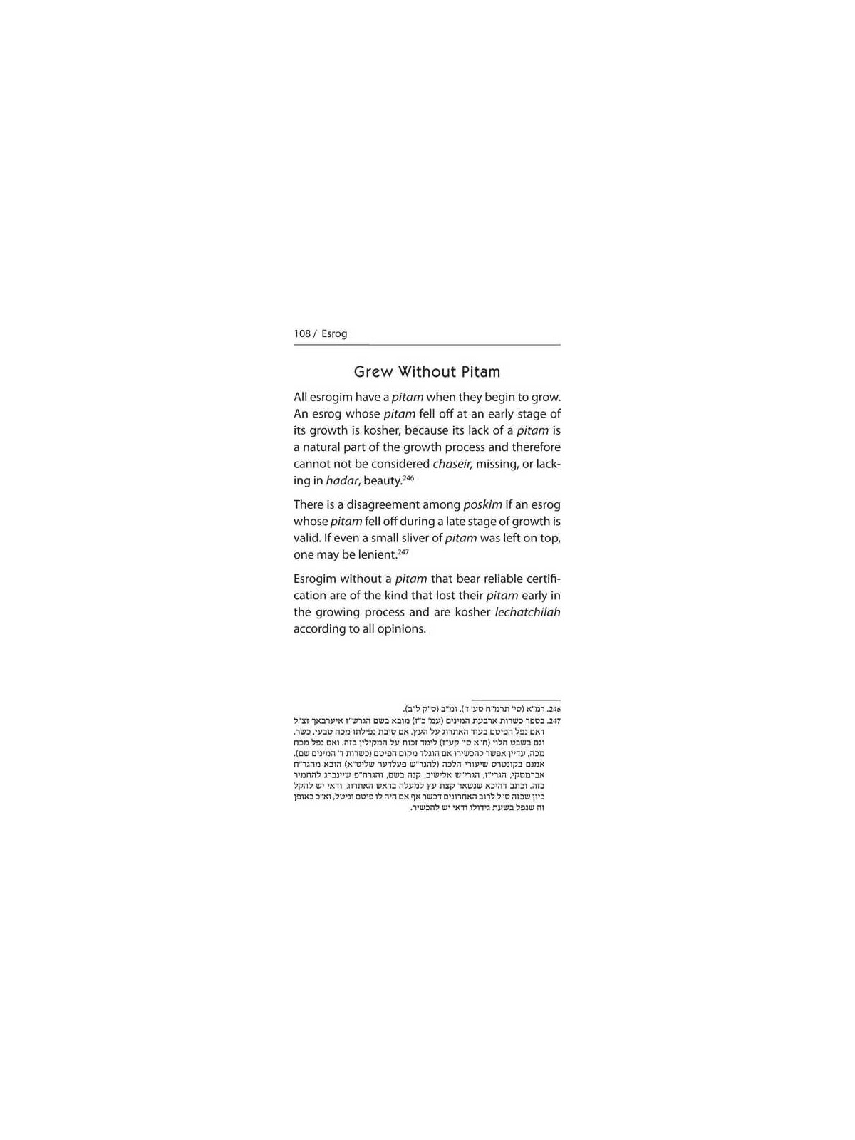 Halachic Handbook: The Laws of the Succah and Four | Sukkot | Judaica